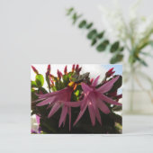 Cartes Pour Fêtes Annuelles Plante de fleurs de Cactus de Pâques (Debout devant)