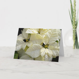 Cartes Pour Fêtes Annuelles Poinsettias blanches