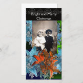 CARTES POUR FÊTES ANNUELLES POINSETTIAS BLEU ROUGE, ÉTOILES DE NOËL EN ÉCLAIRA (Devant / Derrière)