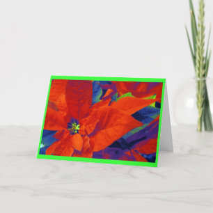 Cartes Pour Fêtes Annuelles Poinsettias de Noël