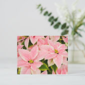 Cartes Pour Fêtes Annuelles Poinsettias roses (Debout devant)