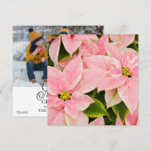 Cartes Pour Fêtes Annuelles Poinsettias roses (Devant / Derrière)