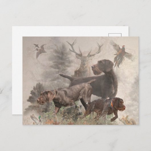 Cartes Pour Fêtes Annuelles Pointeur À poils durs allemand (Devant / Derrière)