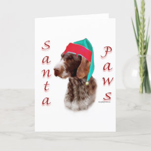 Cartes Pour Fêtes Annuelles Pointeur À poils durs allemand Père Noël Paws