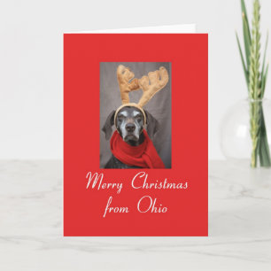 Cartes Pour Fêtes Annuelles Pointeur de rennes de l'Ohio merry x mas