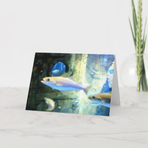 Cartes Pour Fêtes Annuelles Poisson et hublot