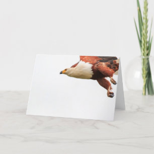 Cartes Pour Fêtes Annuelles Poissons Eagle africains en vol