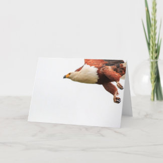 Cartes Pour Fêtes Annuelles Poissons Eagle africains en vol