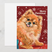 Cartes Pour Fêtes Annuelles Poméranie (Devant / Derrière)