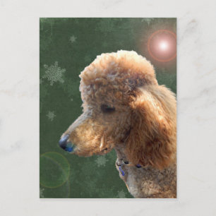 CARTES POUR FÊTES ANNUELLES POODLE POUR LES VACANCES