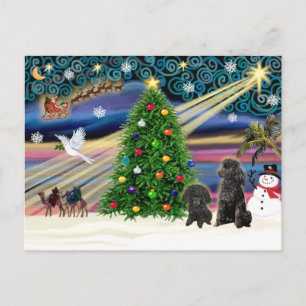 Cartes Pour Fêtes Annuelles Poodles magiques de Noël (deux jouets noirs)