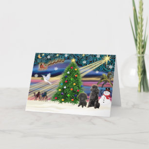 Cartes Pour Fêtes Annuelles Poodles magiques de Noël (deux jouets noirs)