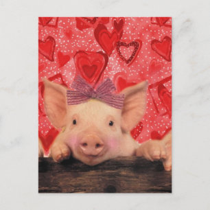 Cartes Pour Fêtes Annuelles Porcs mignons de Valentine