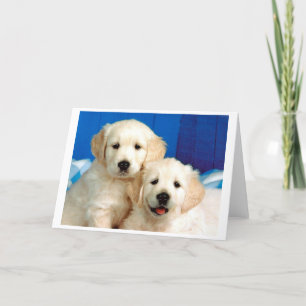 Cartes Pour Fêtes Annuelles Portrait de deux petits labrador