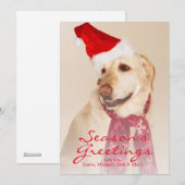 Cartes Pour Fêtes Annuelles Portrait de labrador retriever utilisant le (Devant / Derrière)