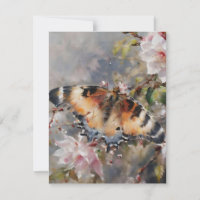 Portrait de papillon japonais