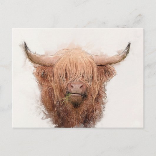 Cartes Pour Fêtes Annuelles Portrait de vache Highland (Devant)