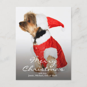 Cartes Pour Fêtes Annuelles Portrait du Yorkshire Terrier portant le chapeau d