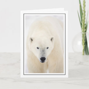 Cartes Pour Fêtes Annuelles Portrait d'un ours polaire