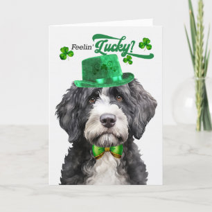 Cartes Pour Fêtes Annuelles Portugais Water Dog Lucky St Patrick's Day