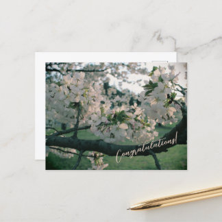 Cartes Pour Fêtes Annuelles PostCard Congratulations!