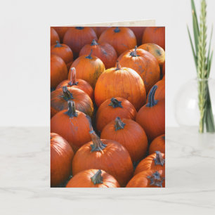 Cartes Pour Fêtes Annuelles Potager de citrouilles