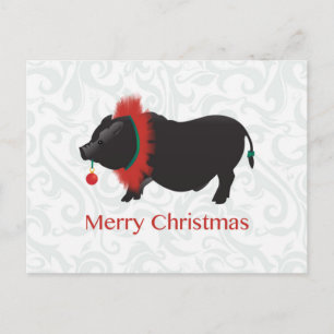 Cartes Pour Fêtes Annuelles Potbellied Cochon Joyeux Noël Design