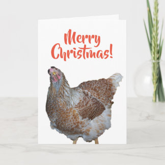 Cartes Pour Fêtes Annuelles Poule Wyandotte à col bleu miel Joyeux Noël