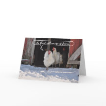 Poules attendant Noël de Père Noël