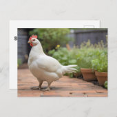 Cartes Pour Fêtes Annuelles Poulet Cornis blanc sur patio (Devant / Derrière)