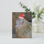 Cartes Pour Fêtes Annuelles Poulet de Noël (Debout devant)