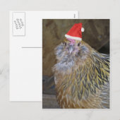 Cartes Pour Fêtes Annuelles Poulet de Noël (Devant / Derrière)