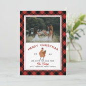 Cartes Pour Fêtes Annuelles Poulet Noël Plaid Photo (Debout devant)