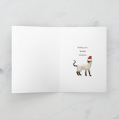 Cartes Pour Fêtes Annuelles Pour une sœur, Joyeux Noël chat (Intérieur)
