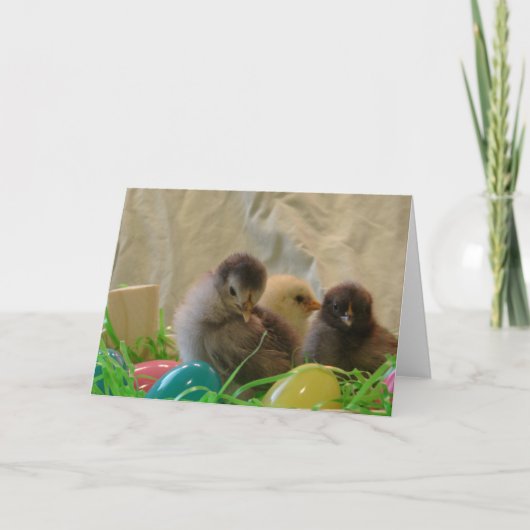 Cartes Pour Fêtes Annuelles Poussins de Pâques (Devant)