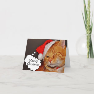 Cartes Pour Fêtes Annuelles Poux de Chat Drôles Fêtes de Noël Vacances de Noël