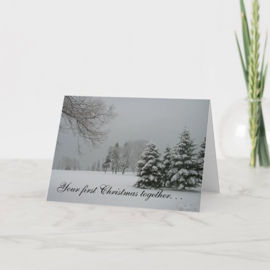 Cartes Pour Fêtes Annuelles Premier paysage d'ensemble-Hiver de Noël (Devant)