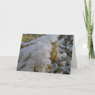 Cartes Pour Fêtes Annuelles Première neige