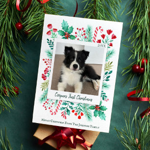 Cartes Pour Fêtes Annuelles Première photo de Noël de Chiot Aquarelle Botaniqu