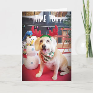 CARTES POUR FÊTES ANNUELLES PRENEZ UN VERRE ET "JETEZ" CE NOËL