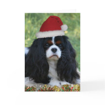 Préparez pour Noël