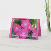 Pretty Pink Petunia Photo Saint Valentin