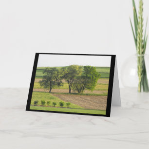 Cartes Pour Fêtes Annuelles Printemps 16 ~ '10 ~