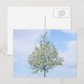 Cartes Pour Fêtes Annuelles Printemps - Bonne Pâques (Devant / Derrière)