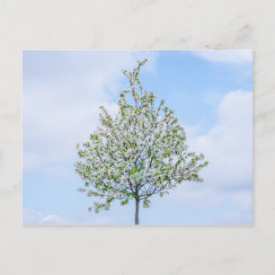 Cartes Pour Fêtes Annuelles Printemps - Bonne Pâques