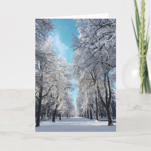 Cartes Pour Fêtes Annuelles promenade d'hiver dans le parc (Devant)