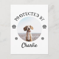 Protégé par un chien - Motif d'empreinte de patte