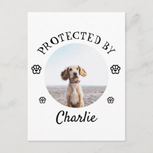 Cartes Pour Fêtes Annuelles Protégé par un chien - Motif d'empreinte de patte