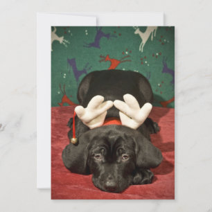 Cartes Pour Fêtes Annuelles Pub de Noël triste