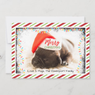 Cartes Pour Fêtes Annuelles Pug de Noël avec un chapeau de Père Noël et des lu